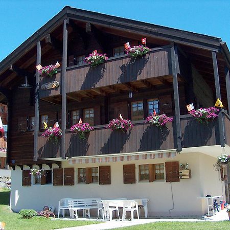 Chalet Marder Riederalp Zewnętrze zdjęcie